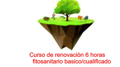 RENOVACIÓN 6 HORAS LECTIVAS (6 horas sin determinar las prácticas) de 02 al 14 de JUNIO de 2025