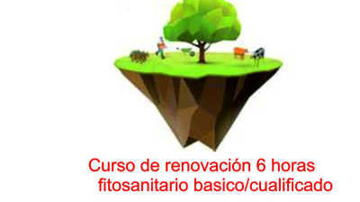 RENOVACIÓN 6 HORAS LECTIVAS (6 horas sin determinar las prácticas) del 7  al 17 de enero de 2025